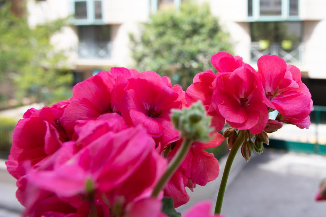 Boutique Apartment La Lavande Free Parking 10 Min Walk Nice Luaran gambar